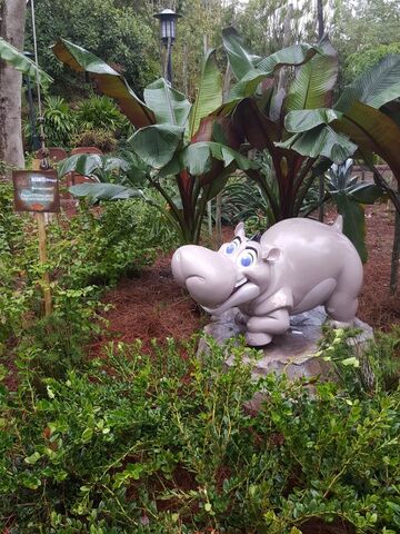 File:Hippo .jpeg