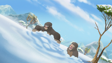 The-lost-gorillas (306)