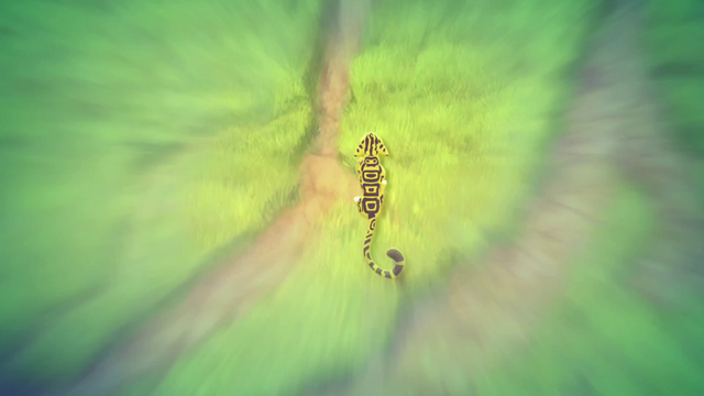 File:Call-of-the-guard (9).png