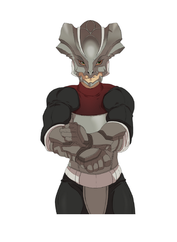 File:Plat D R.png