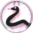 Double Dragons Button