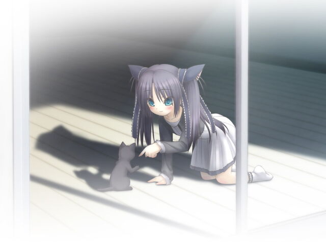 File:Sasami's Cat.jpg