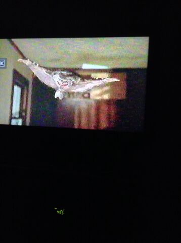 File:Flying Ghoulie.jpg