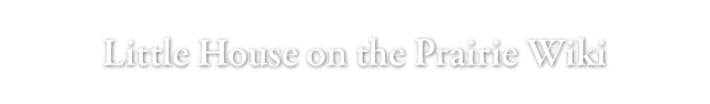 File:Wiki big.png