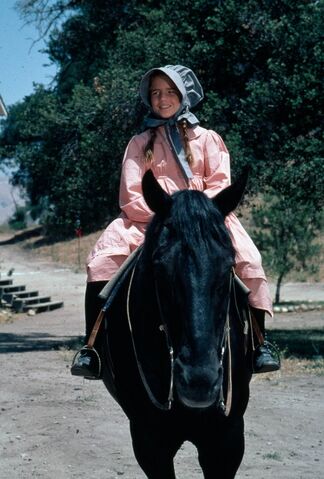 File:Bunnylaura.jpg