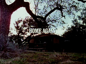 Title.homeagain2