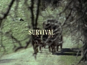 Title.survival