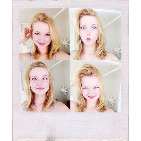 File:Dove polaroid.jpg