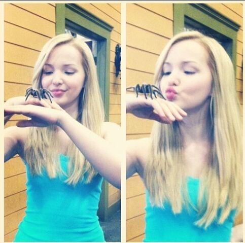 File:Dove And Bug.jpg