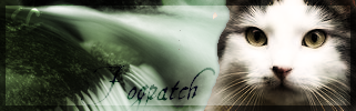 File:Fogpatch.png