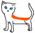 Thumbnail for version as of 01:58, August 16, 2011