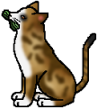File:108px-Spottedleaf mc.png