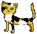 Thumbnail for version as of 07:49, August 16, 2011