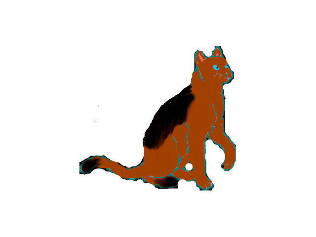 File:Blind hawk.jpg