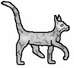 Silverstream3.short.fm