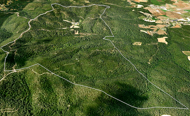 Fitxer:Sector Can Genoer Google Earth.png