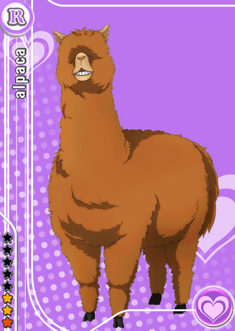 Archivo:382.png