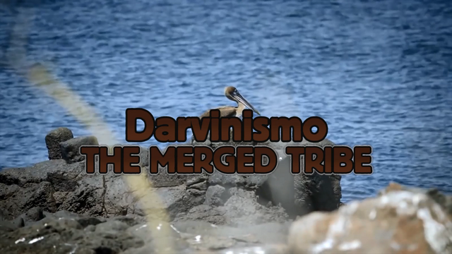File:Darvinismo Main Title.png