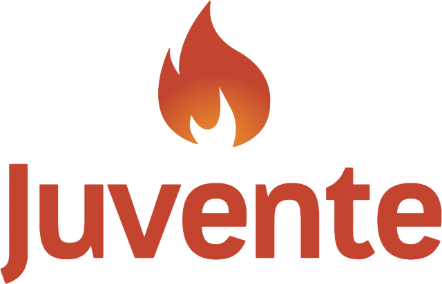 File:Logo uten bg hoved.png