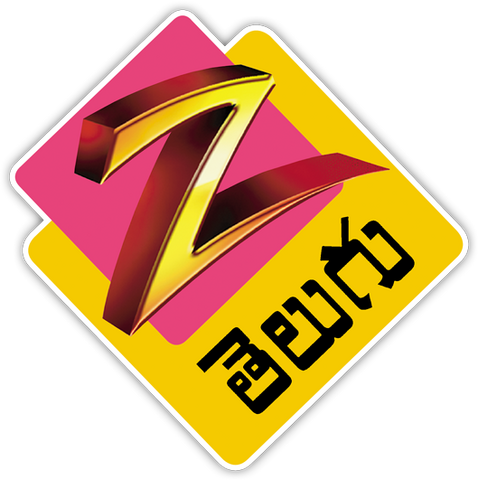 File:Zee Telugu.png