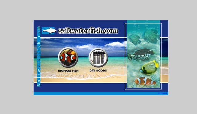 File:Saltwaterfish 6-14-06.png