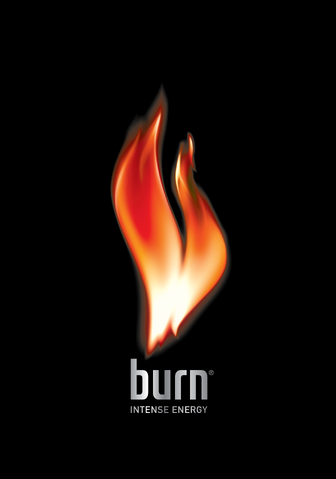 File:Burn logo.png