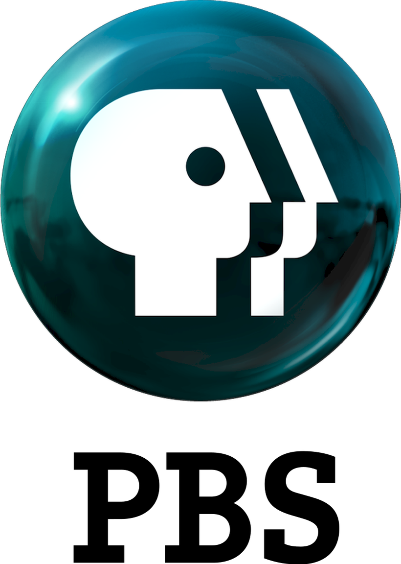 Image result for pbs logo