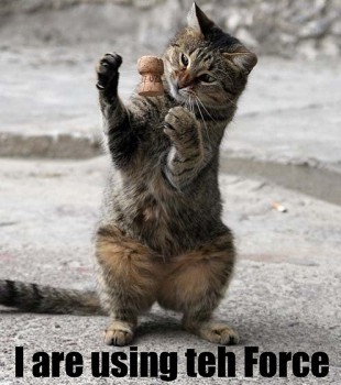 File:Forcecat.jpg