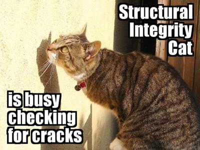 File:Doctercat.jpg