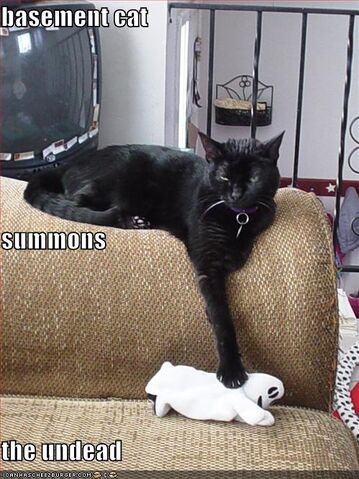 File:Cat-summons-the-undead.jpg
