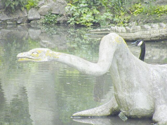 File:Canada goose and plesiosaurus.jpg