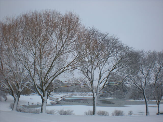 File:DSCN2480.jpg