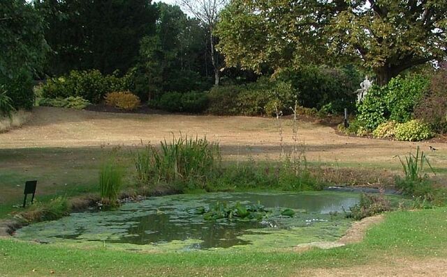 File:AS Pond.jpg