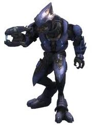 Elite 6