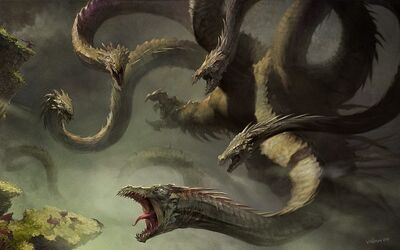 Hydra