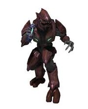Elite 2