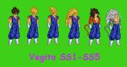 Vegito Jr. Super Saiyan forms 1-5