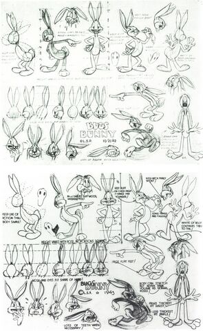 File:Bugs Bunny model sheet.jpg