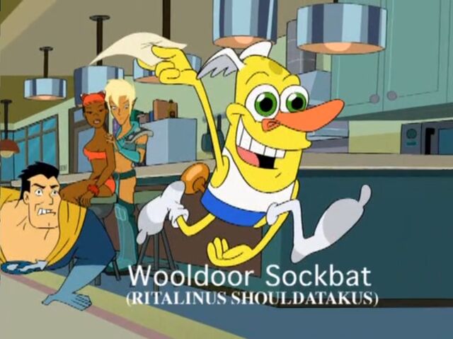 File:Drawn Together Wooldoor Sockbat as Road Runner.jpg