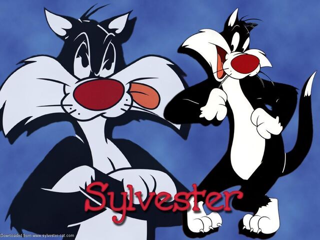 File:SylvesterWP9r7.jpg