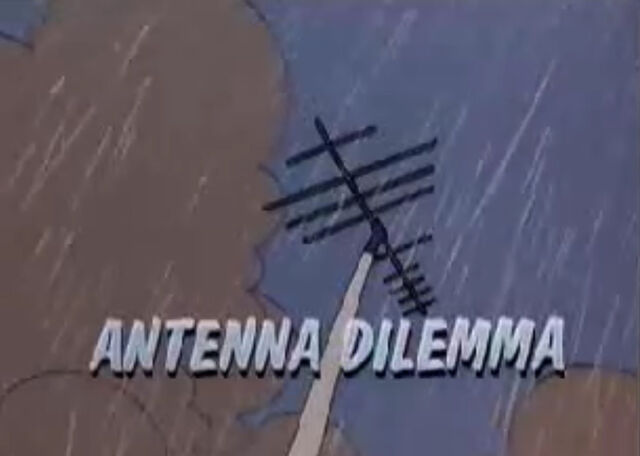 File:Tant.jpg