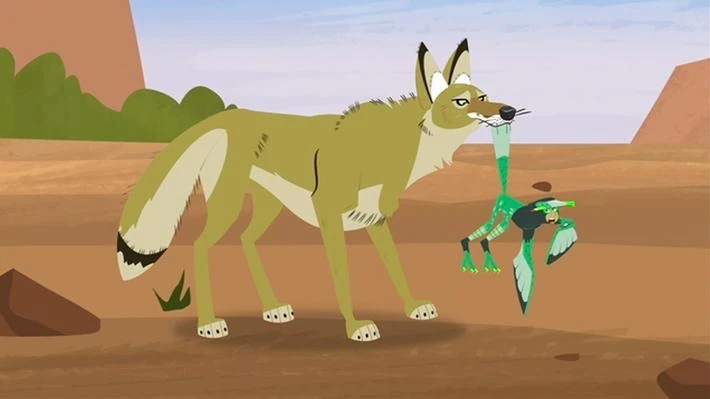 Image - Wild Kratts Coyote and Roadrunner.jpg | Looney Tunes Wiki
