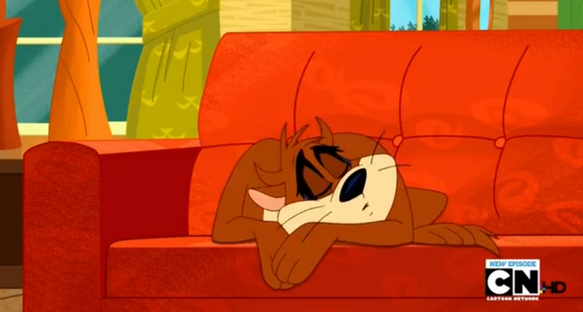 File:Taz Sleep.png