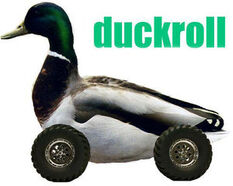 Duckroll.jpg