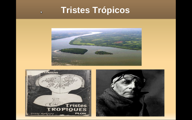 Archivo:Pagina 01.png
