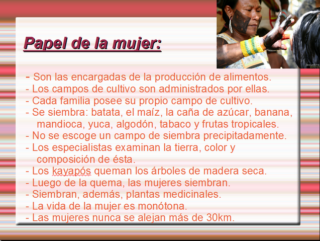 Archivo:5.png