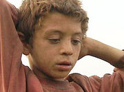 Niño.jpg