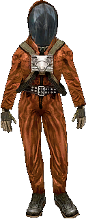 Ecolog outfit
