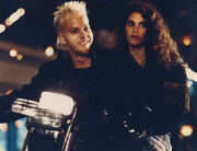 David and Star xx