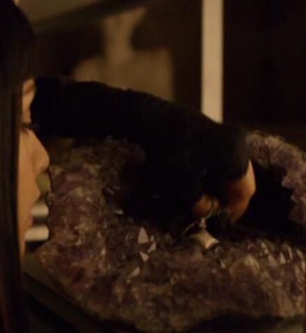File:Kenzi finds Koushang (113).jpg